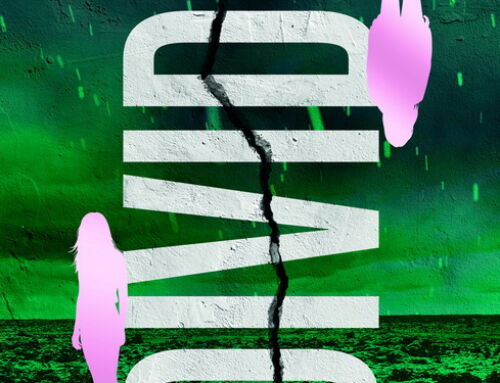 JUST OUT! The Divide – by WiO member Vicki Lloyd